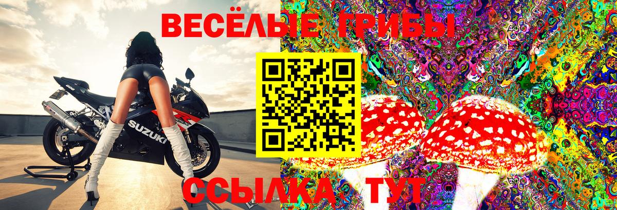 Галлюциногенные грибы мухоморы Жигулёвск