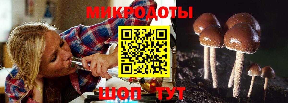 Жигулёвск  Псилоцибиновые грибы мухоморы  Вход с VPN 