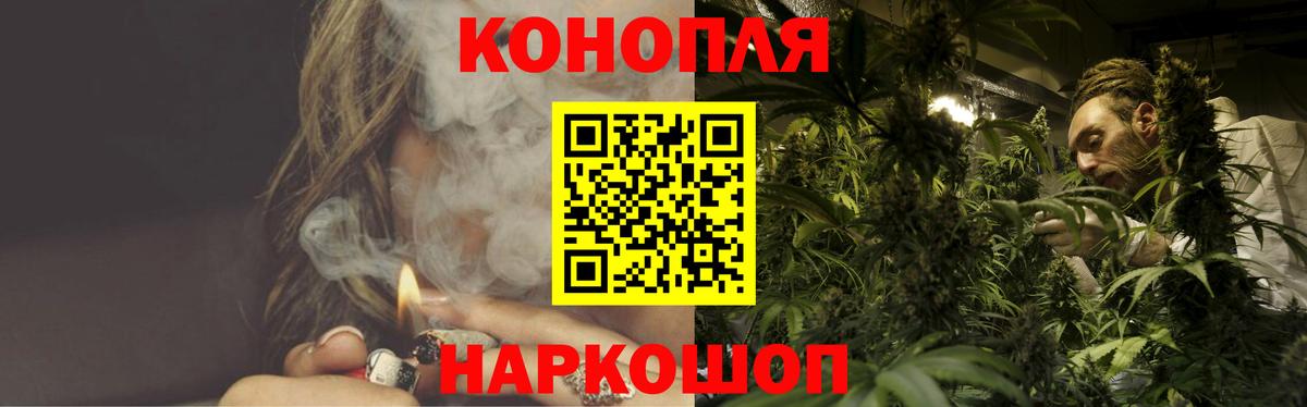 Конопля сатива Жигулёвск